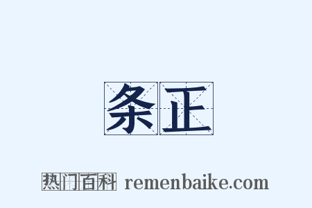 条正是什么意思的图片